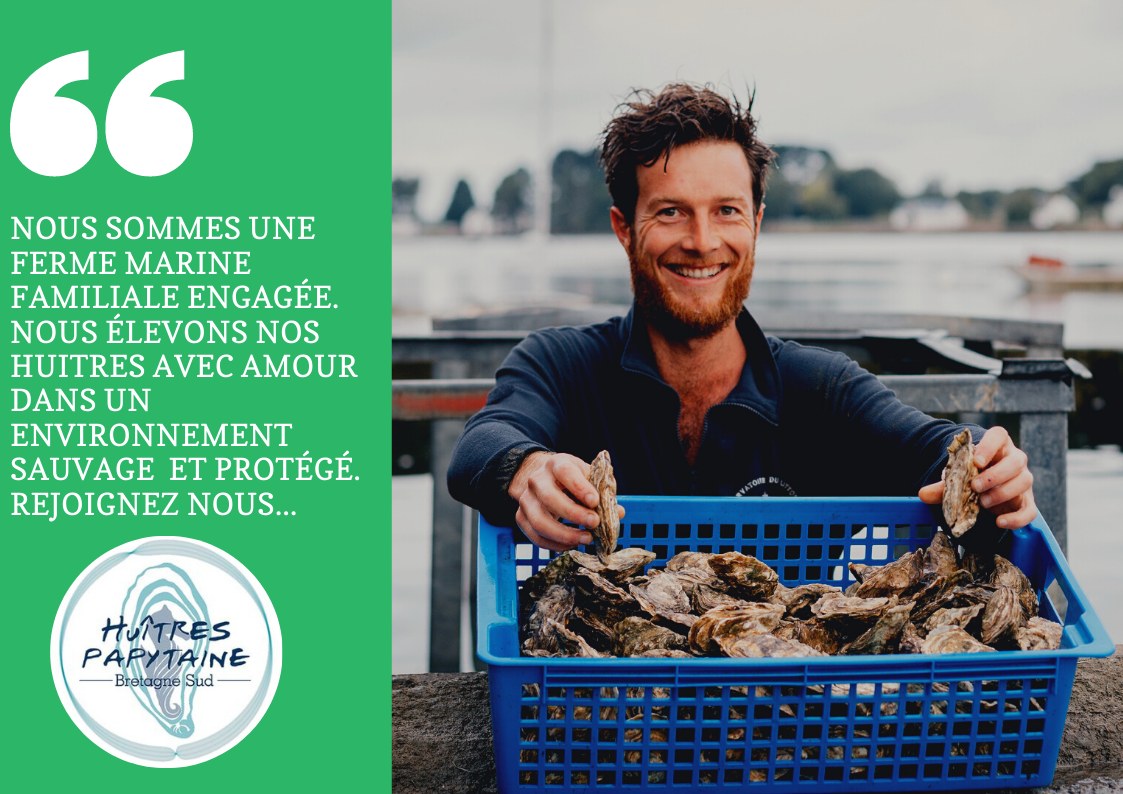 Bourriche d'huîtres bio - 24pcs