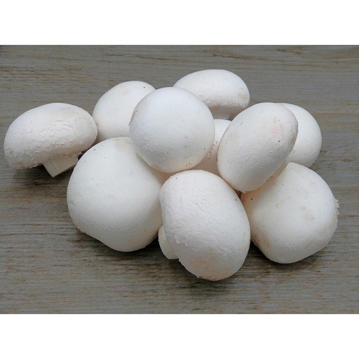 [Champignons blanc Van Eys Montzen] Champignon blanc