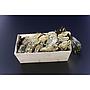 Bourriche d'huîtres bio - 24pcs